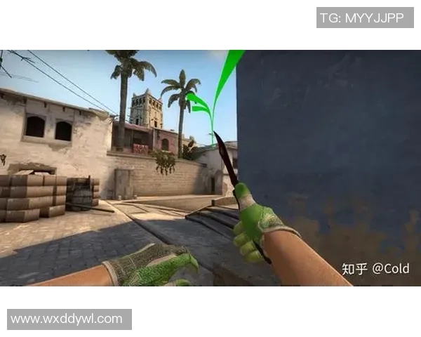 CSGO巨献：深入解析V5战队的团队协作与战术配合之道