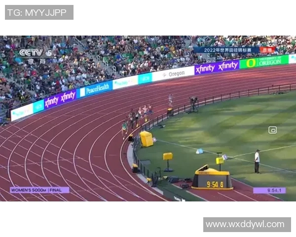 杭州排球队整体压制革新之路：从战术到团队协作的全面提升与探索