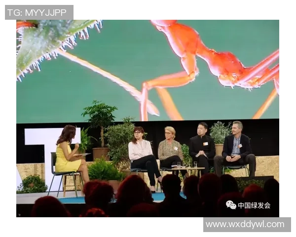 重庆飞盘队的战术意识与团队协作探讨及其对比赛表现的影响分析